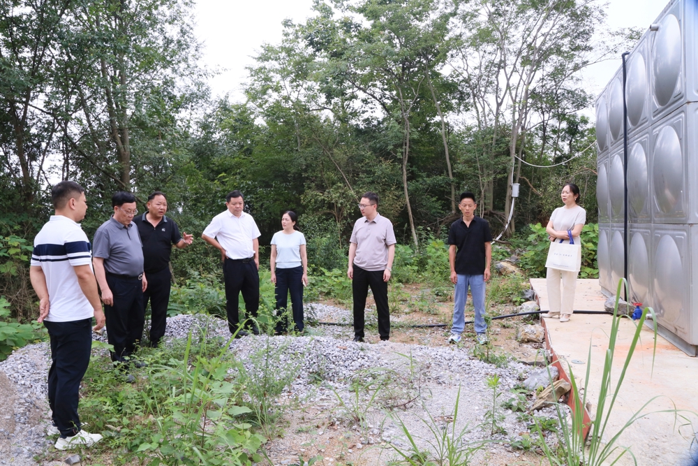 市政协副主席邹吉茂赴桃源县黄石镇大谷村调研常态化帮扶工作